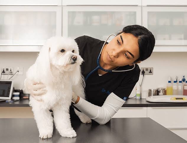 Veterinary Clinic